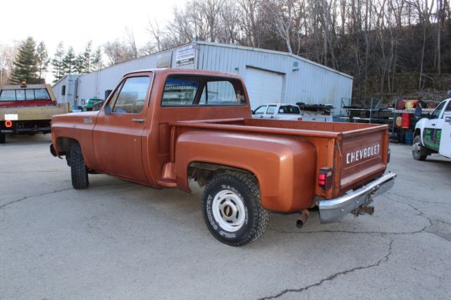 1980 Chevrolet C/K Pickup 1500 Reg Cab - photo 3