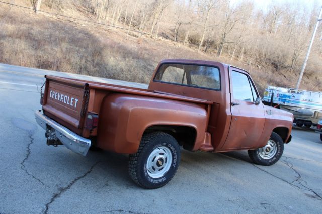 1980 Chevrolet C/K Pickup 1500 Reg Cab - photo 4