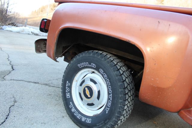 1980 Chevrolet C/K Pickup 1500 Reg Cab - photo 6