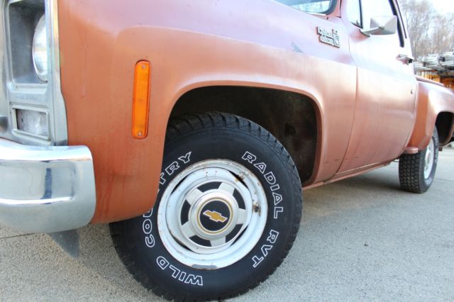 1980 Chevrolet C/K Pickup 1500 Reg Cab - photo 8