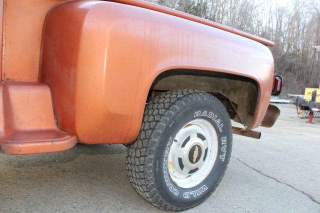 1980 Chevrolet C/K Pickup 1500 Reg Cab - photo 9