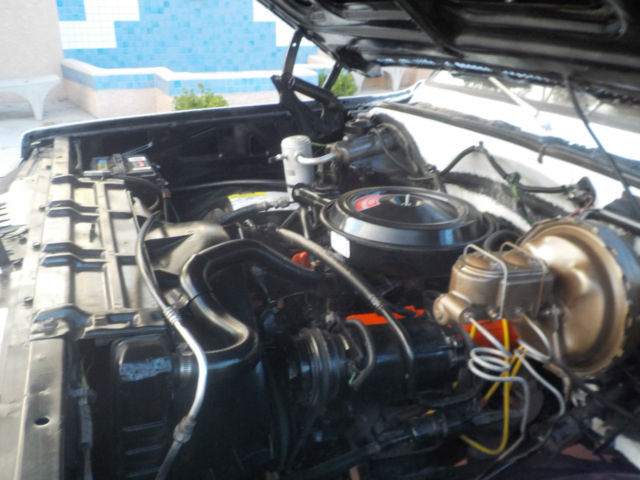 1980 Chevrolet Silverado 2500 - photo 10
