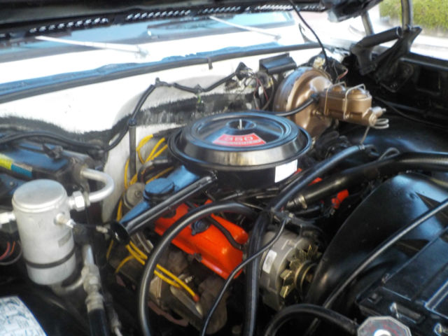 1980 Chevrolet Silverado 2500 - photo 9