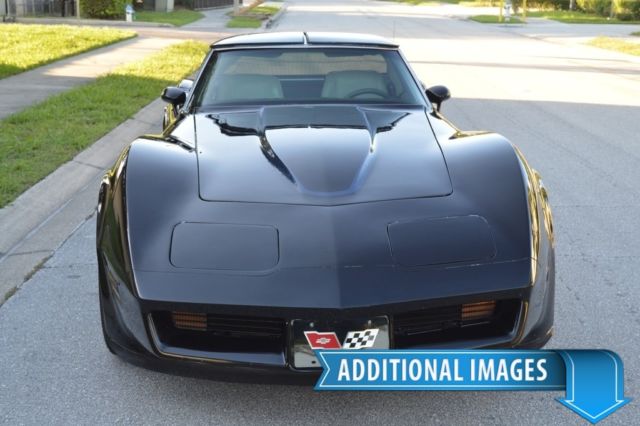 1980 Chevrolet Corvette T-TOP CONVERTIBLE - BEAUTIFUL - FREE SHIPPING SALE - photo 9
