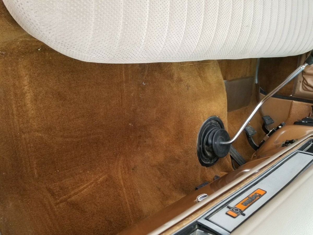 1980 Chevrolet Cheyenne - photo 11