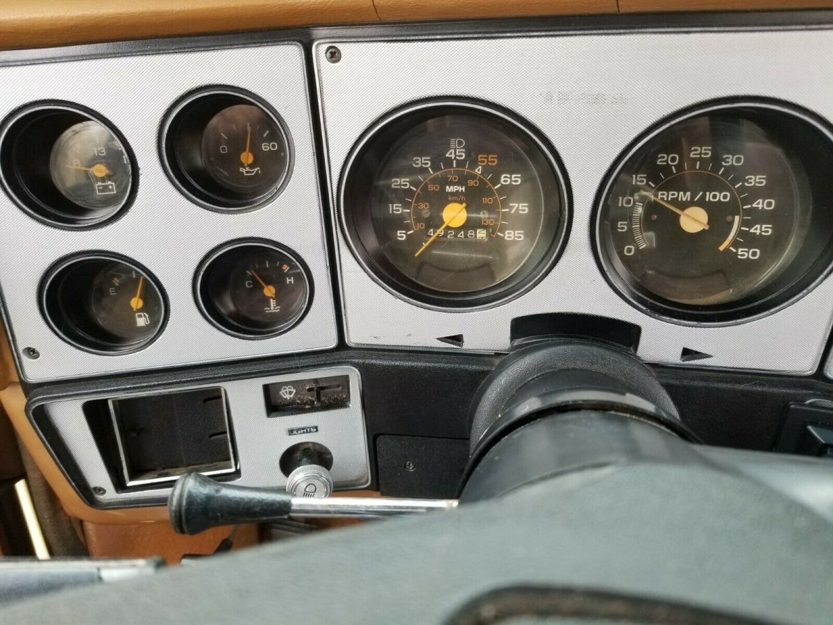 1980 Chevrolet Cheyenne - photo 12