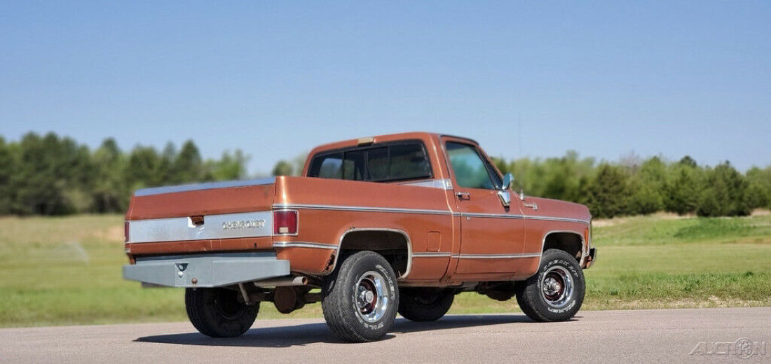 1980 Chevrolet C/K Pickup 1500 - photo 4