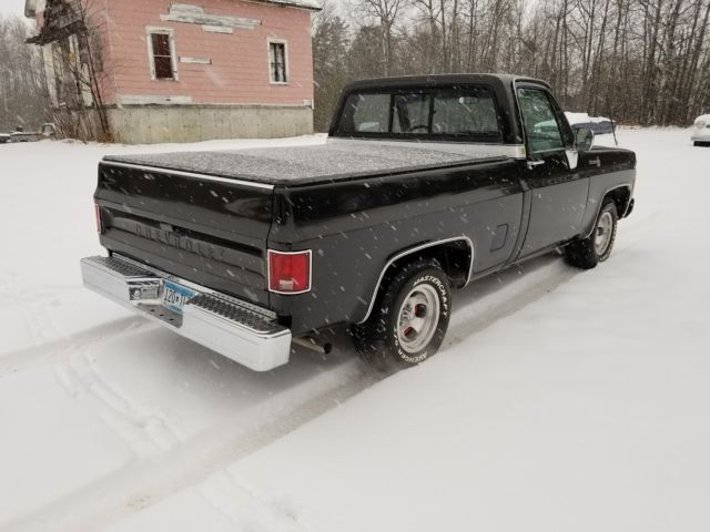 1980 Chevrolet Silverado 1500 - photo 3
