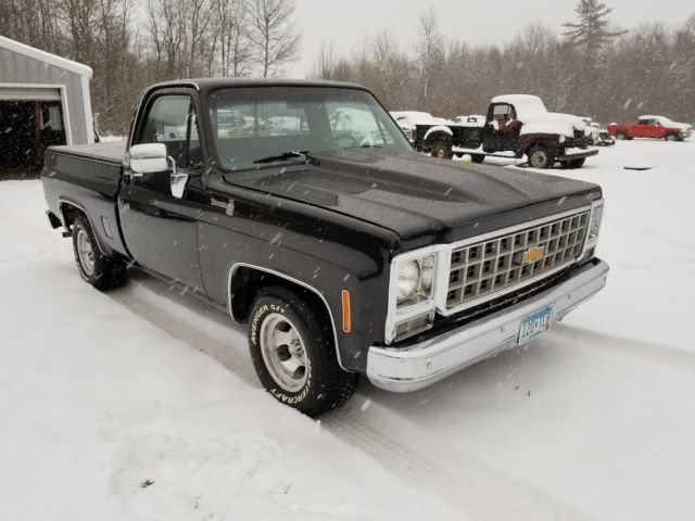 1980 Chevrolet Silverado 1500 - photo 9