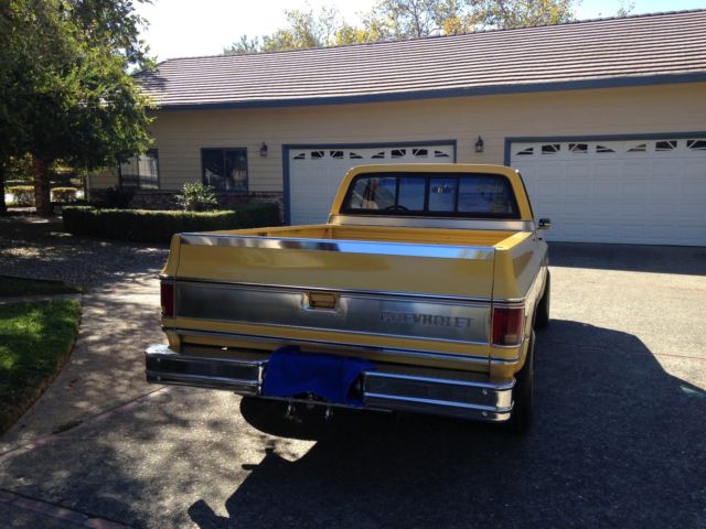 1980 Chevrolet Silverado 1500 - photo 8