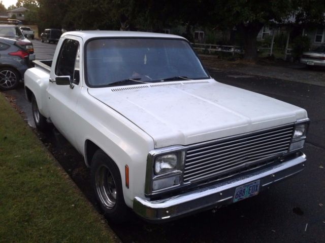 1980 Chevrolet Other Pickups