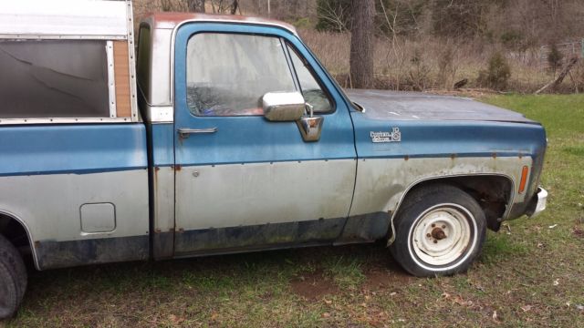 1980 Chevrolet C/K Pickup 1500 Custom - photo 2