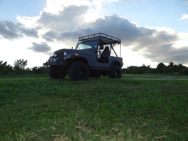 1980 Jeep CJ CJ-7 - photo 8