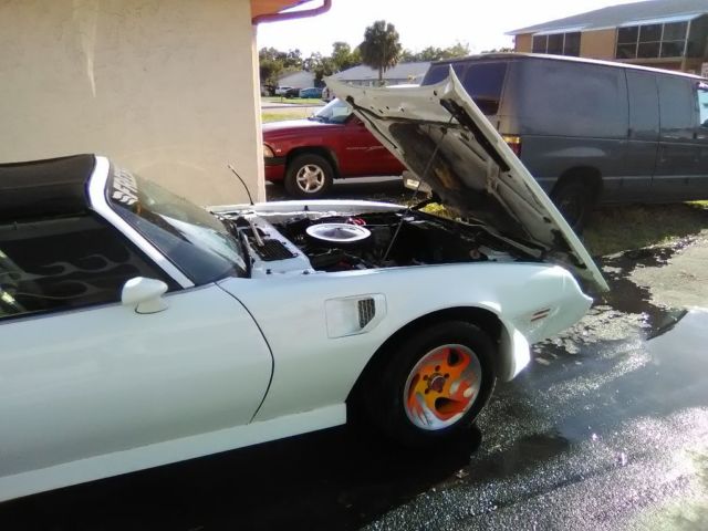 1980 Pontiac Trans Am - photo 2