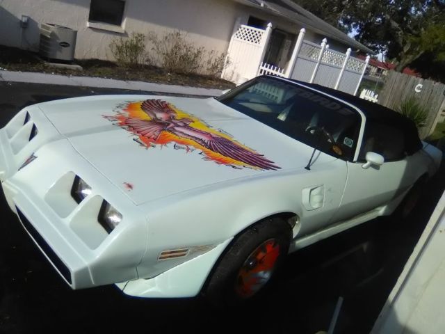 1980 Pontiac Trans Am - photo 4