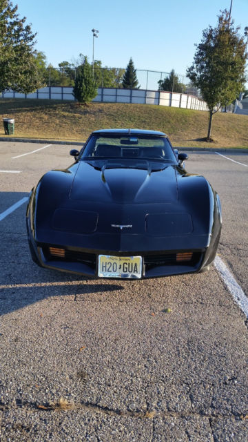 1980 Chevrolet Corvette - photo 2