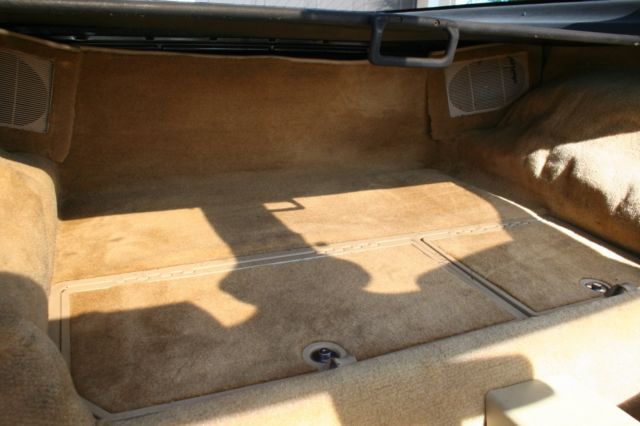 1980 Chevrolet Corvette Coupe Glass T-Tops - photo 10