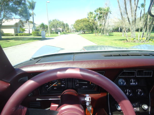 1980 Chevrolet Corvette SILVER - photo 7