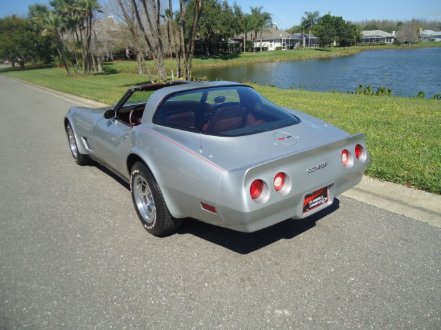 1980 Chevrolet Corvette SILVER - photo 9