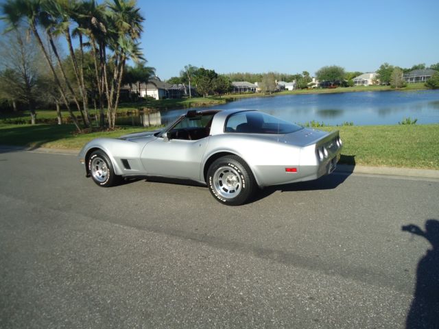 1980 Chevrolet Corvette SILVER - photo 10