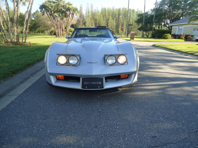 1980 Chevrolet Corvette SILVER - photo 4