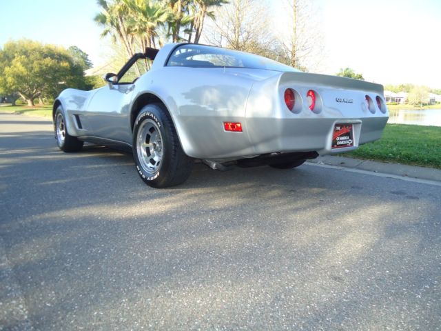 1980 Chevrolet Corvette SILVER - photo 8