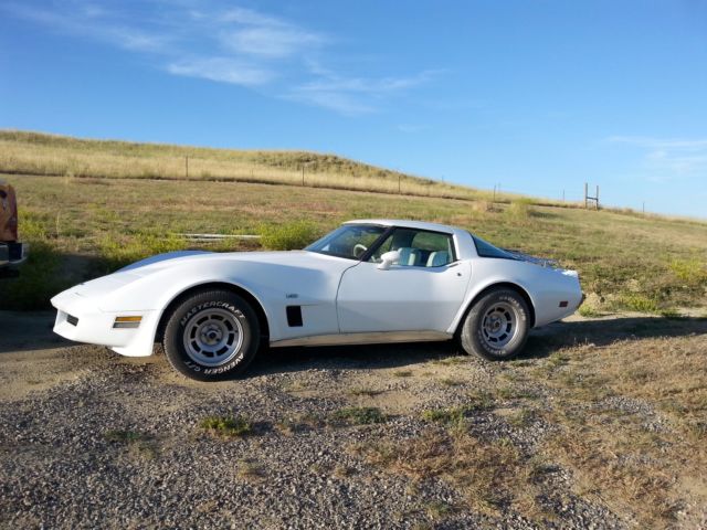 1980 Corvette L-82, All Original. SELLER WILL DELIVER! 1980 Chevrolet Corvette