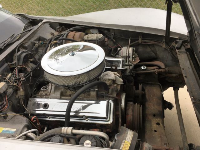 1980 Chevrolet Corvette L48 - photo 5