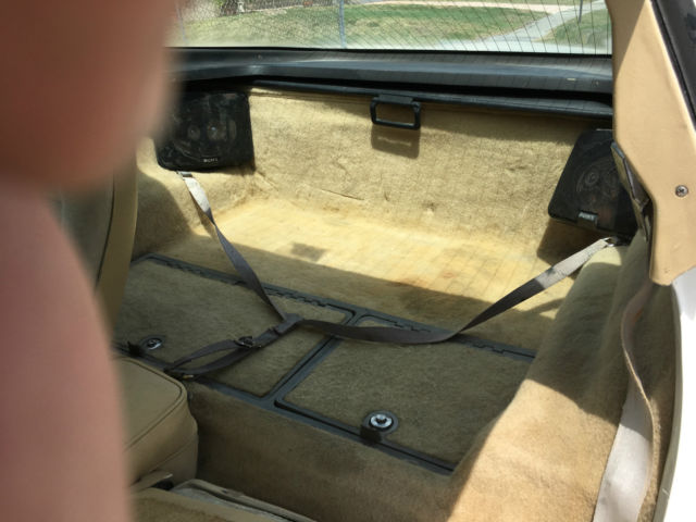 1980 Chevrolet Corvette 1980 CORVETTE L48 NO RESERVE LAST BIDDER WINS - photo 8