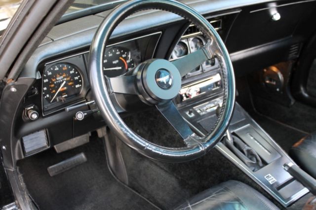 1980 Chevrolet Corvette - photo 10