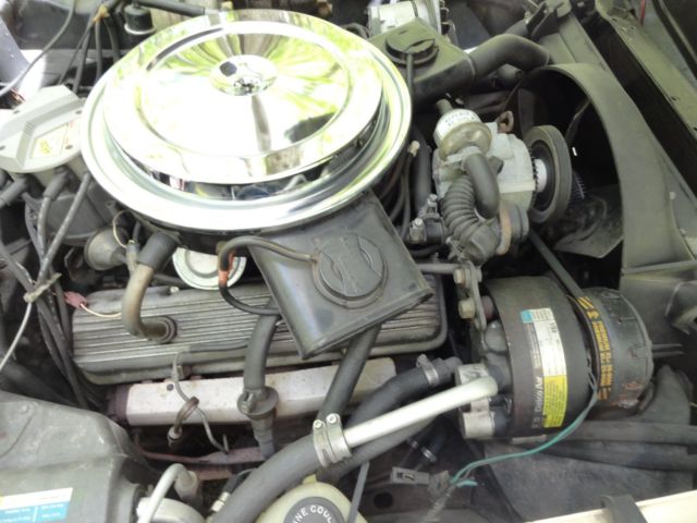 1980 Chevrolet Corvette - photo 11