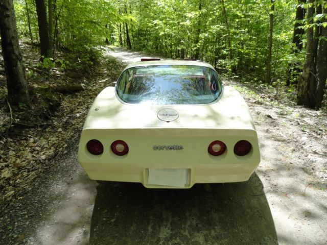 1980 Chevrolet Corvette - photo 3
