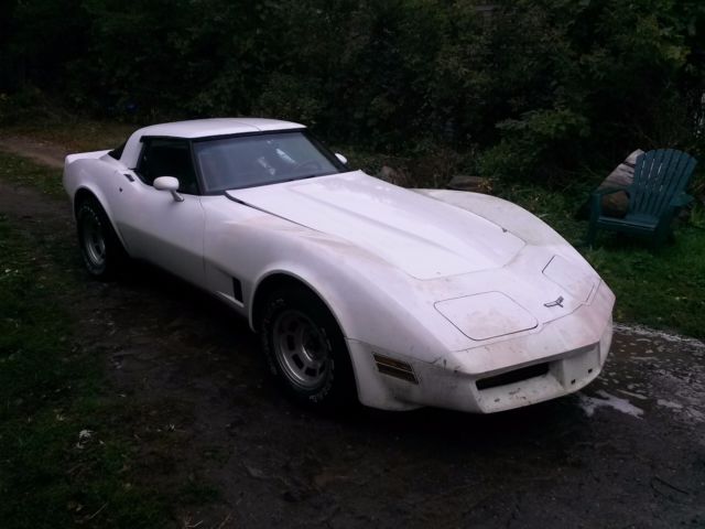1980 Corvette project 1980 Chevrolet Corvette