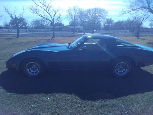 1980 Chevrolet Corvette - photo 6