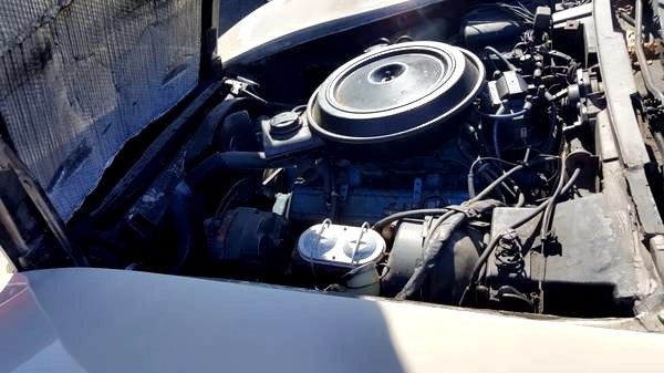 1980 Chevrolet Corvette L48 - photo 9