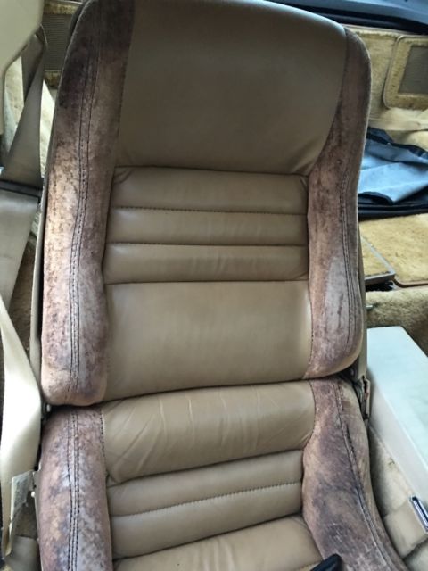 1980 Chevrolet Corvette Beige - photo 7