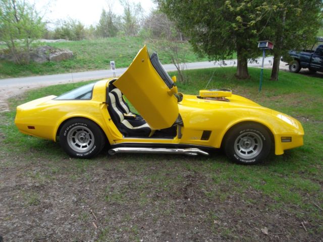 1980 Chevrolet Corvette - photo 8