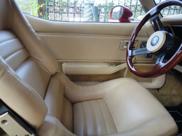 1980 Chevrolet Corvette CUSTOM - photo 4