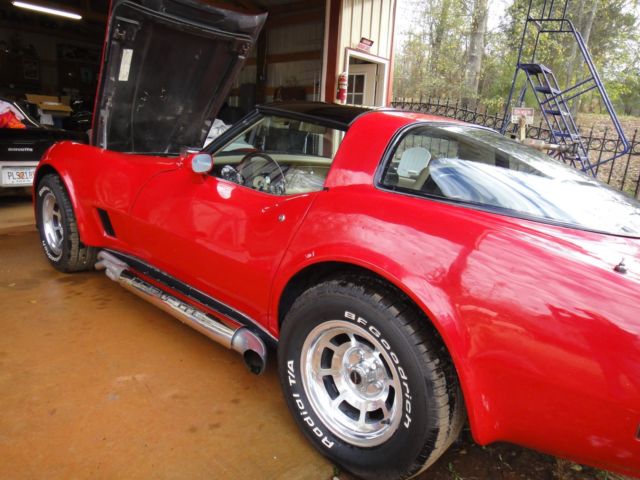 1980 Chevrolet Corvette CUSTOM - photo 6