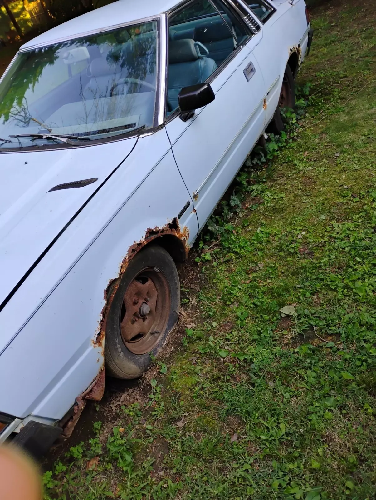 1980 Datsun 200SX - photo 4