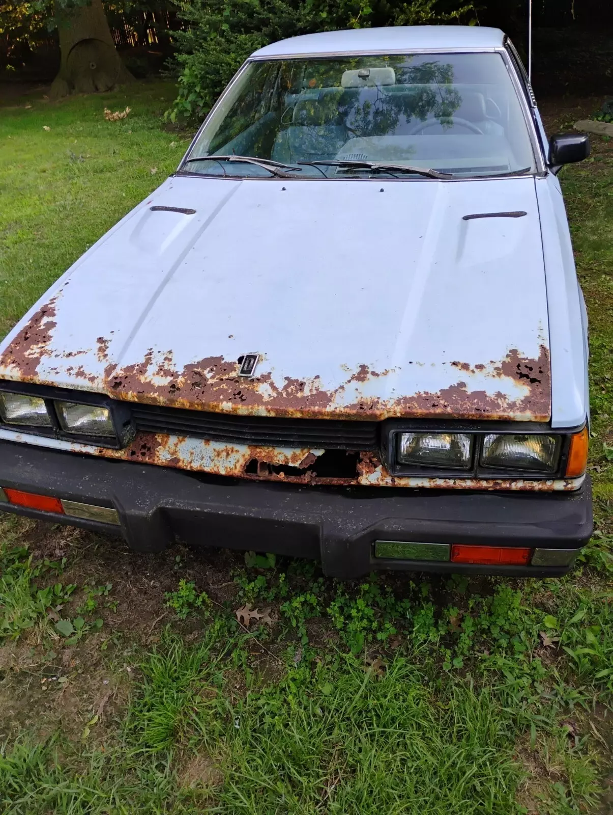 1980 Datsun 200SX - photo 7