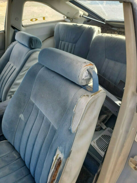 1980 Datsun Z-Series - photo 3