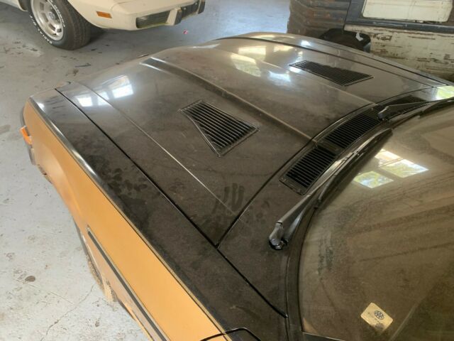 1980 Datsun Z-Series 10th Anniversary - photo 9