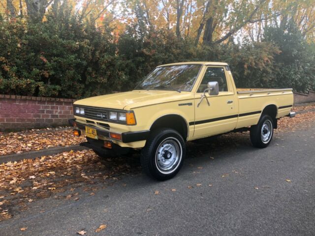 1980 Datsun Pickup 1980 Datsun pick up 4x4 Low miles only 81.k - photo 2