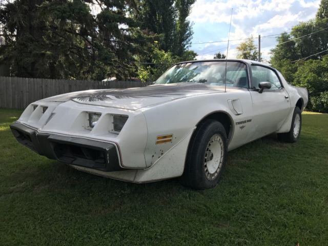 1980 Pontiac Trans Am Pace car