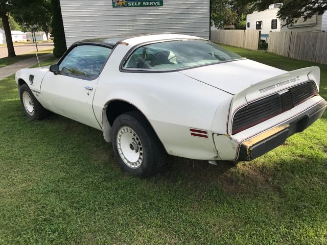 1980 Pontiac Trans Am Pace car - photo 3