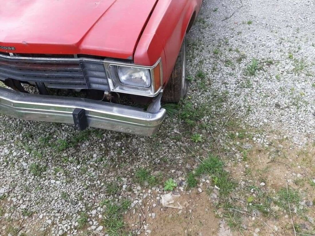 1980 Dodge Aspen - photo 4