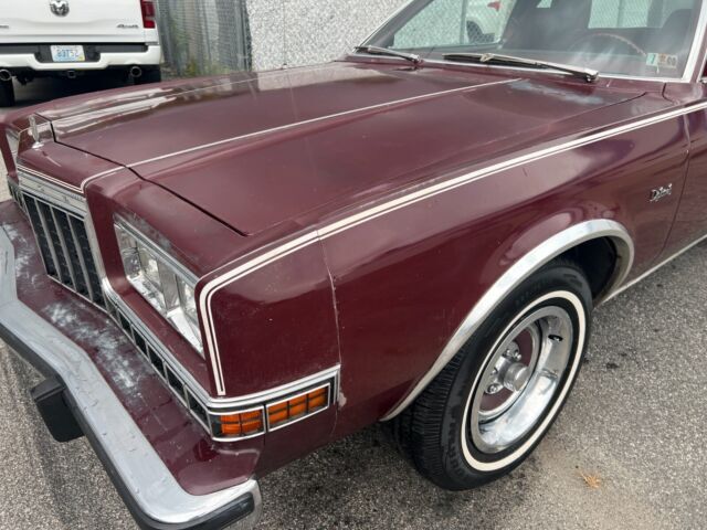 1980 Dodge Diplomat - photo 3