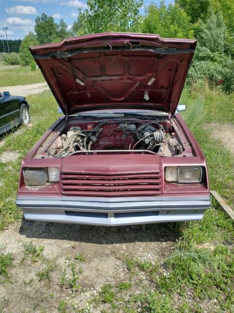 1980 Dodge Mirada - photo 5