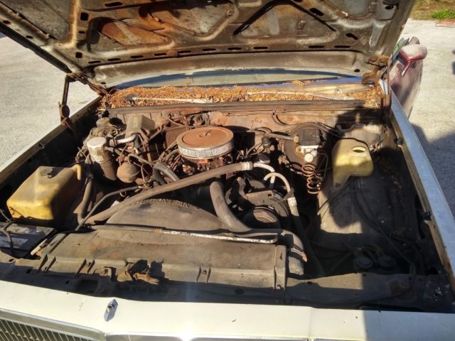 1980 Chevrolet El Camino - photo 2